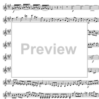 Sonata No.22 A Major KV305 - Violin