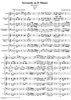Serenade in D Minor, Op. 44, B77, Movement 1 - Score