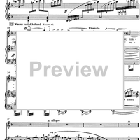 Ich hab' ein Glühend' Messer No. 3