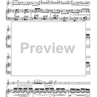 Variations on “Là ci darem la mano”