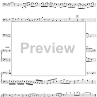 Duo No. 6 in D Major - Cello