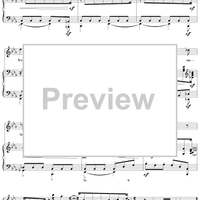 12 Gedichte, Op. 35, No. 1: Lust der Sturmnacht