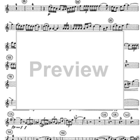 Horn Concerto - Horn in F