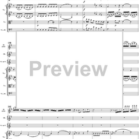 Flute Concerto No. 1 in G Major K285c (K313) - Full Score