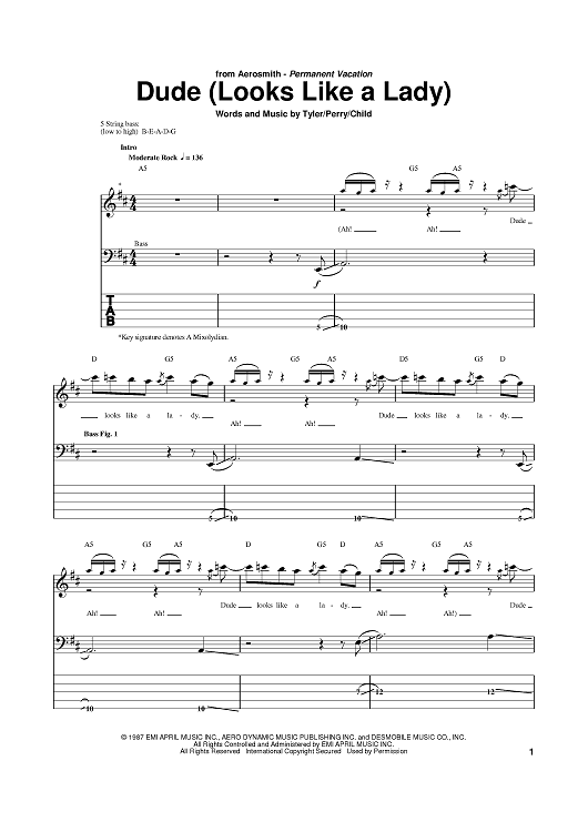 Dude (Looks Like A Lady)