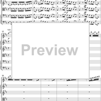 Flute Concerto in D major ("Il Gardellino") RV428 - Movt. 1, Allegro - Op. 10, No. 3