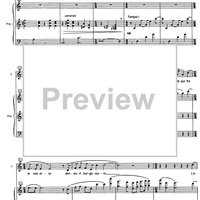 La meta vicina - Score