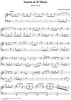 Sonata in D minor, K. 295