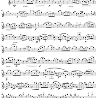 Duet No. 1 from Six Easy Duets, Op. 137 - Flute 1