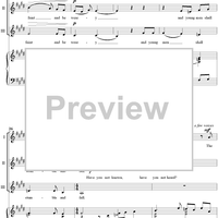 Have you not known? Have you not heard?