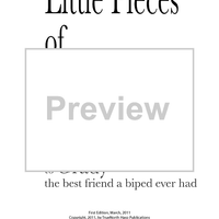 Little Pieces - Title Page - Bonus Material