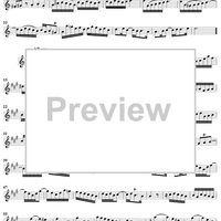 Flute Sonata No. 3 in A Major, BWV1032 - Flute