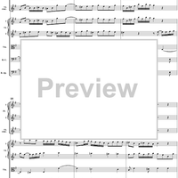 Concerto in E minor: Movement 2 - Full Score