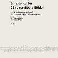 25 Romantische Etüden