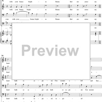 You Black Bright Stars