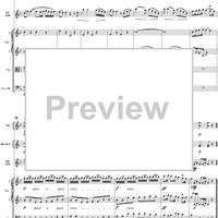 Oboe Concerto in C Major, HobVIIg/C1 Movement 2 - Full Score