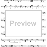 Springtime Festival - Basses