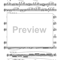 Variations on "Greensleeves" For Unaccompanied Flute - Flute