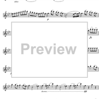 Piano Trio Bb Major D28 - Violin