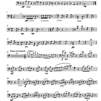 Carmen pro carmine - aria con variazioni - Cello