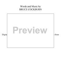 Wondering Where the Lions Are