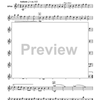 Haydn Seek Surprise - Flute