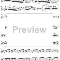 Grand Duo in E Minor, Op. 39, No. 1 - Flute 1