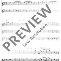 Flute Fun - Performing Score