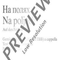 Na poljach - Choral Score
