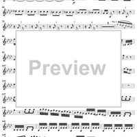 The Four Seasons, No. 4: Winter - Violin 2