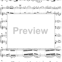 Duo No. 1 in C Major - Violin