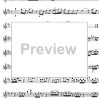 Concerto No. 4 D Major KV218 - Violin