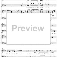 A Typical Self-Made American