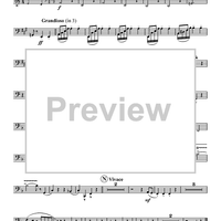 Turkey in the Straw - Bassoon