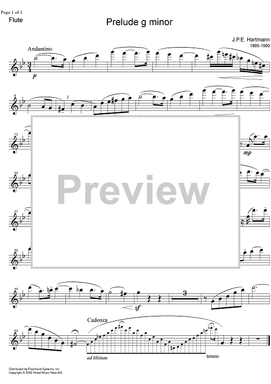 Prelude g minor - Flute