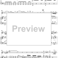 Flute Concerto in G Major - Piano Score