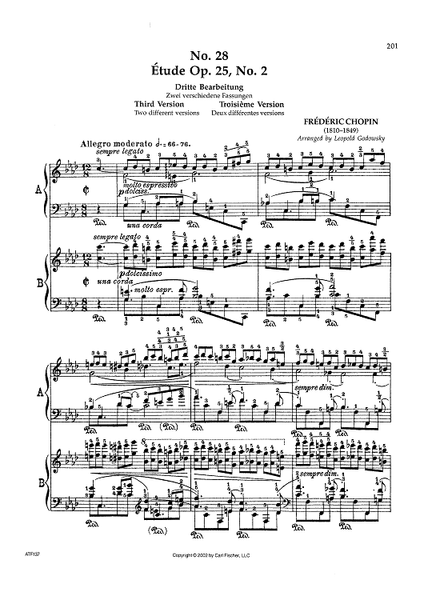 No. 28 - Étude Op. 25, No. 2 (Third Version)