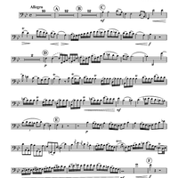 Mvt. 1 from Concerto in B-flat, K. 191 - Bassoon or Euphonium Solo