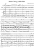 Bassoon Concerto in B-flat Major K186e (K191) - Full Score