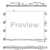 Irish Tune from County Derry - Sopranino