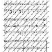 Zwölf Cassationsstücke - Performing Score