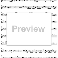 Sonata No. 2 in C Minor - Flute