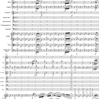 "Notte e giorno faticar", No. 1 from "Don Giovanni", Act 1, K527 - Full Score
