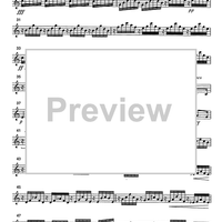 Va Pensiero from the opera Nabucco - Accordion 2