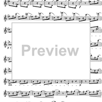 The Accomplished Clarinettist Vol. 2 - Clarinet