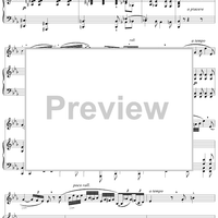 15 Vocalises for Medium or Low Voice, Op. 12: No. 9