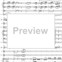 Andante in C Major K285e (K315) - Full Score