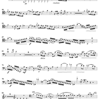 Bassoon Concerto in F Major - Bassoon