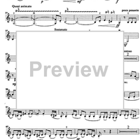 Godalni Quartet - Violin 2
