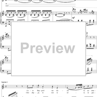 La Regata Veneziana, No. 9 from "Soirées musicales"